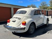 Volkswagen Beetle - Classic  - <small></small> 22.000 € <small>TTC</small> - #12