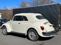 Volkswagen Beetle - Classic  - <small></small> 22.000 € <small>TTC</small> - #14