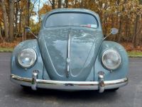 Volkswagen Beetle - Classic  - <small></small> 42.000 € <small>TTC</small> - #2