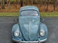 Volkswagen Beetle - Classic  - <small></small> 42.000 € <small>TTC</small> - #3