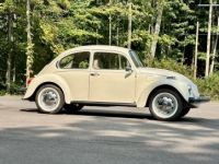 Volkswagen Beetle - Classic  - <small></small> 25.000 € <small>TTC</small> - #2