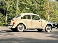 Volkswagen Beetle - Classic  - <small></small> 25.000 € <small>TTC</small> - #11