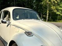 Volkswagen Beetle - Classic  - <small></small> 25.000 € <small>TTC</small> - #14