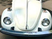 Volkswagen Beetle - Classic  - <small></small> 25.000 € <small>TTC</small> - #17