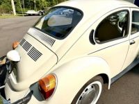 Volkswagen Beetle - Classic  - <small></small> 25.000 € <small>TTC</small> - #28