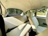 Volkswagen Beetle - Classic  - <small></small> 25.000 € <small>TTC</small> - #40