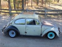 Volkswagen Beetle - Classic  - <small></small> 17.000 € <small>TTC</small> - #15