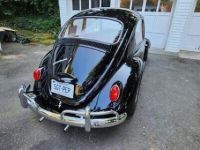 Volkswagen Beetle - Classic  - <small></small> 38.000 € <small>TTC</small> - #3