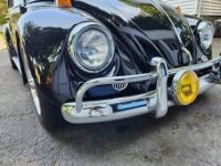 Volkswagen Beetle - Classic  - <small></small> 38.000 € <small>TTC</small> - #6