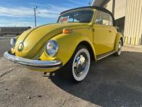 Volkswagen Beetle - Classic  - <small></small> 19.000 € <small>TTC</small> - #1