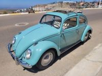 Volkswagen Beetle - Classic  - <small></small> 24.000 € <small>TTC</small> - #1