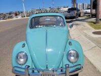 Volkswagen Beetle - Classic  - <small></small> 24.000 € <small>TTC</small> - #3