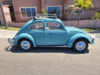 Volkswagen Beetle - Classic  - <small></small> 24.000 € <small>TTC</small> - #5