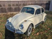 Volkswagen Beetle - Classic  - <small></small> 26.000 € <small>TTC</small> - #1