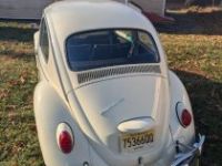 Volkswagen Beetle - Classic  - <small></small> 26.000 € <small>TTC</small> - #4