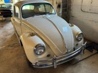 Volkswagen Beetle - Classic  - <small></small> 26.000 € <small>TTC</small> - #5