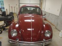 Volkswagen Beetle - Classic  - <small></small> 23.000 € <small>TTC</small> - #1