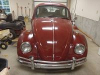 Volkswagen Beetle - Classic  - <small></small> 23.000 € <small>TTC</small> - #16