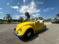 Volkswagen Beetle - Classic  - <small></small> 24.000 € <small>TTC</small> - #1