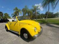 Volkswagen Beetle - Classic  - <small></small> 24.000 € <small>TTC</small> - #3