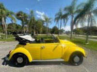 Volkswagen Beetle - Classic  - <small></small> 24.000 € <small>TTC</small> - #4