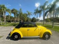 Volkswagen Beetle - Classic  - <small></small> 24.000 € <small>TTC</small> - #5