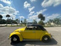 Volkswagen Beetle - Classic  - <small></small> 24.000 € <small>TTC</small> - #10