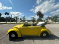 Volkswagen Beetle - Classic  - <small></small> 24.000 € <small>TTC</small> - #11