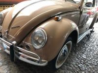 Volkswagen Beetle - Classic  - <small></small> 49.000 € <small>TTC</small> - #2