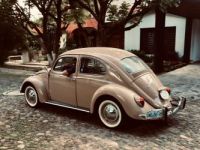 Volkswagen Beetle - Classic  - <small></small> 49.000 € <small>TTC</small> - #5