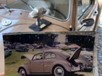 Volkswagen Beetle - Classic  - <small></small> 49.000 € <small>TTC</small> - #7