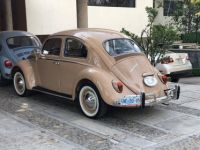 Volkswagen Beetle - Classic  - <small></small> 49.000 € <small>TTC</small> - #9