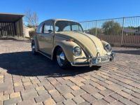 Volkswagen Beetle - Classic  - <small></small> 24.800 € <small>TTC</small> - #1