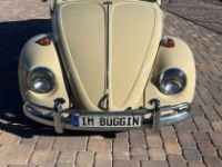 Volkswagen Beetle - Classic  - <small></small> 24.800 € <small>TTC</small> - #2