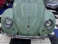 Volkswagen Beetle - Classic  - <small></small> 87.000 € <small>TTC</small> - #7