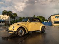 Volkswagen Beetle - Classic  - <small></small> 25.700 € <small>TTC</small> - #3