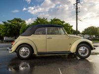 Volkswagen Beetle - Classic  - <small></small> 25.700 € <small>TTC</small> - #6