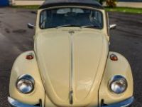 Volkswagen Beetle - Classic  - <small></small> 25.700 € <small>TTC</small> - #10