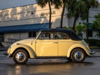 Volkswagen Beetle - Classic  - <small></small> 25.700 € <small>TTC</small> - #14