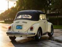 Volkswagen Beetle - Classic  - <small></small> 25.700 € <small>TTC</small> - #22