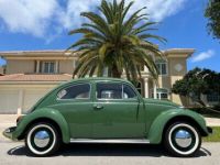 Volkswagen Beetle - Classic  - <small></small> 22.500 € <small>TTC</small> - #2