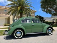 Volkswagen Beetle - Classic  - <small></small> 22.500 € <small>TTC</small> - #3