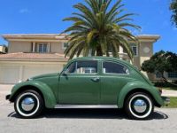 Volkswagen Beetle - Classic  - <small></small> 22.500 € <small>TTC</small> - #7