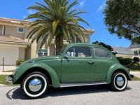 Volkswagen Beetle - Classic  - <small></small> 22.500 € <small>TTC</small> - #8