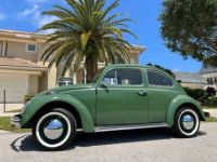 Volkswagen Beetle - Classic  - <small></small> 22.500 € <small>TTC</small> - #10