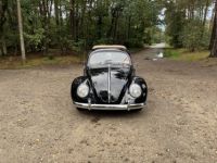 Volkswagen Beetle 1200 cc 36 BHP - <small></small> 28.500 € <small>TTC</small> - #4