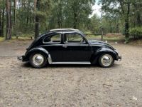 Volkswagen Beetle 1200 cc 36 BHP - <small></small> 28.500 € <small>TTC</small> - #7