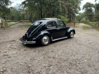 Volkswagen Beetle 1200 cc 36 BHP - <small></small> 28.500 € <small>TTC</small> - #8