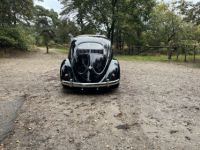 Volkswagen Beetle 1200 cc 36 BHP - <small></small> 28.500 € <small>TTC</small> - #9