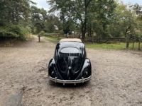 Volkswagen Beetle 1200 cc 36 BHP - <small></small> 28.500 € <small>TTC</small> - #10